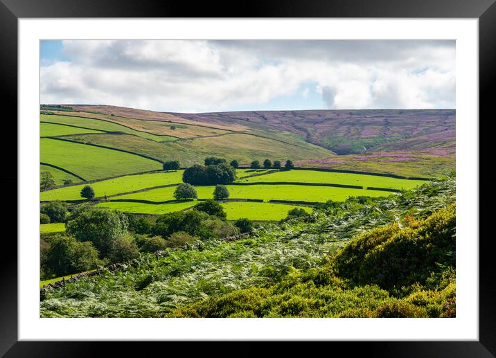 Summer colours in the hills of the High Peak Framed Mounted Print by Andrew Kearton