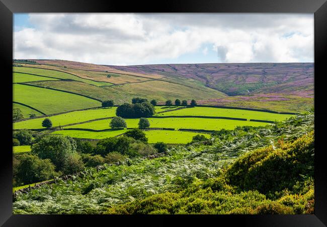 Summer colours in the hills of the High Peak Framed Print by Andrew Kearton