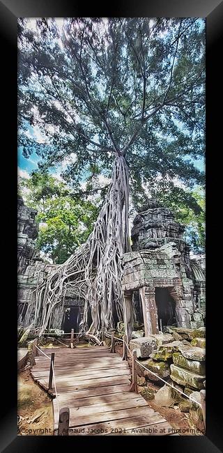 Ta Prohm Temple, Angkor Wat, Cambodia Framed Print by Arnaud Jacobs