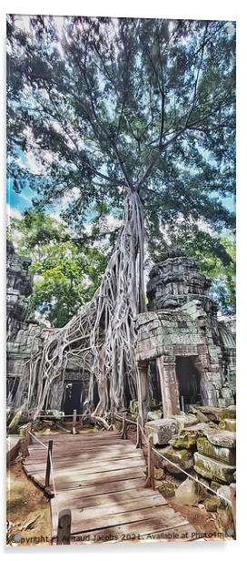 Ta Prohm Temple, Angkor Wat, Cambodia Acrylic by Arnaud Jacobs