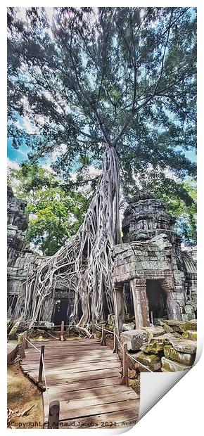 Ta Prohm Temple, Angkor Wat, Cambodia Print by Arnaud Jacobs
