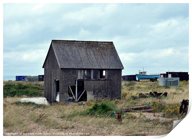 Dungeness Fishing Hut Print by Nathalie Hales