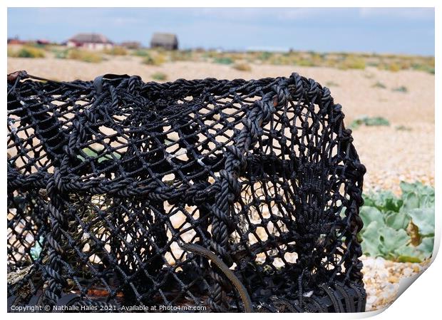 Dungeness Lobster Pot Print by Nathalie Hales