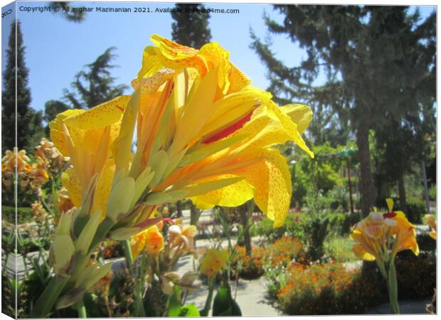 Plant flower Canvas Print by Ali asghar Mazinanian