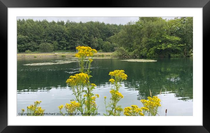 Bathpool lake Framed Mounted Print by Daryl Pritchard videos