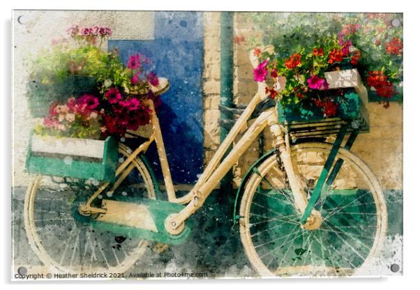 Old bicycle with flowers Acrylic by Heather Sheldrick