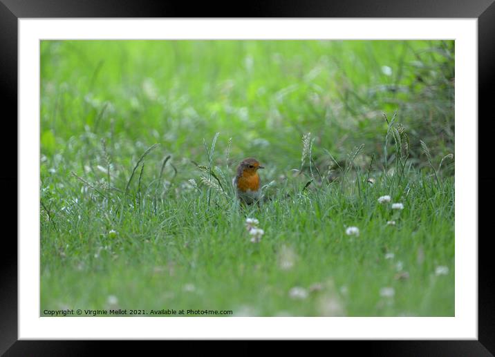 Robin in the grass Framed Mounted Print by Virginie Mellot