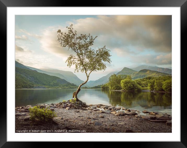 The Lone Tree  Framed Mounted Print by Bob Kent