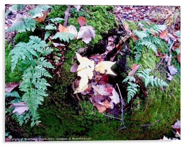 Leaves, Ferns and Moss Acrylic by Stephanie Moore