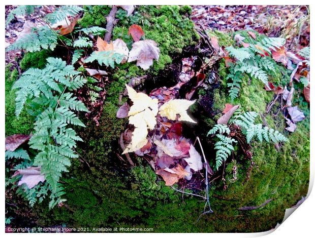 Leaves, Ferns and Moss Print by Stephanie Moore