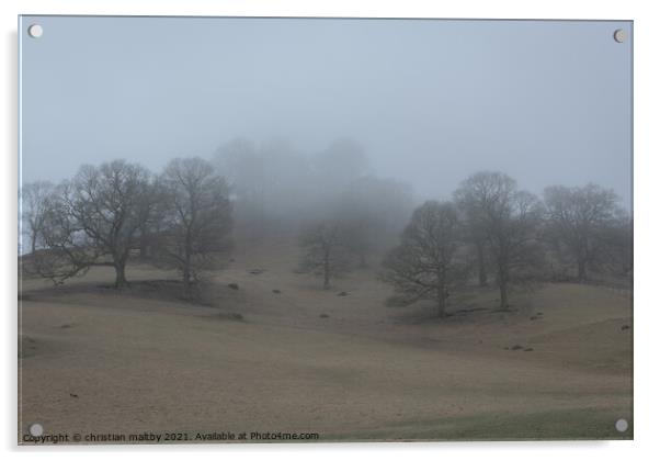 A picture of misty scaur glen Dumfries Scotland Acrylic by christian maltby