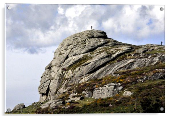Haytor  Rock Dartmoor Acrylic by Alexia Miles