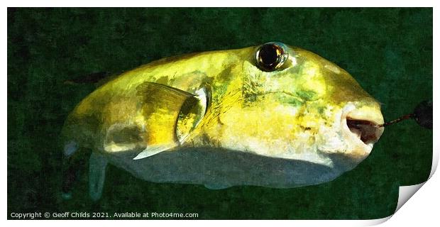 Green Toad Fish . Colourful abstract wall art image. Print by Geoff Childs