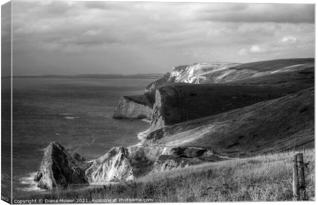 The Jurassic Coast Black and white Canvas Print by Diana Mower