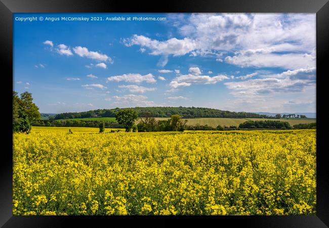 Yellow rapeseed field near Dalmeny, Scotland Framed Print by Angus McComiskey