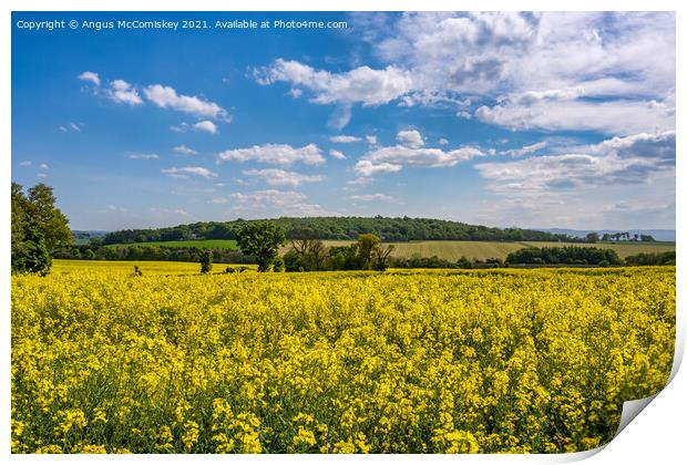 Yellow rapeseed field near Dalmeny, Scotland Print by Angus McComiskey