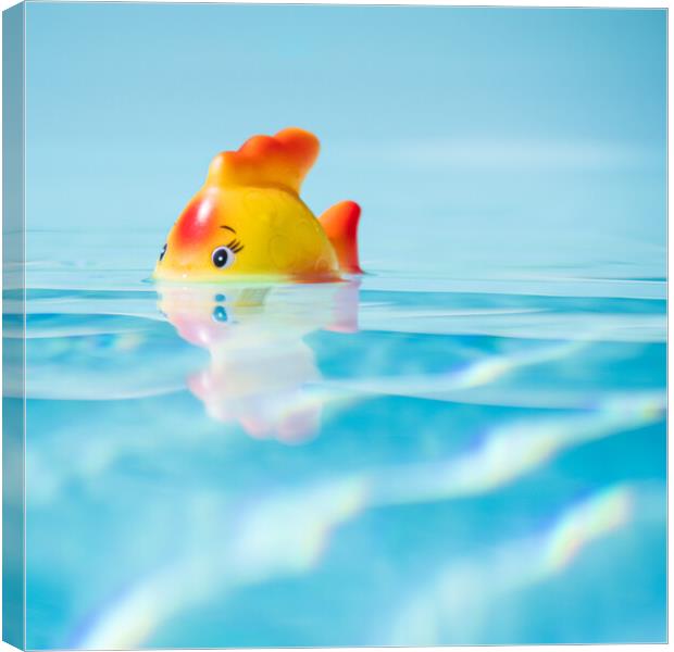 Toy fish in swimming pool Canvas Print by Laurent Renault