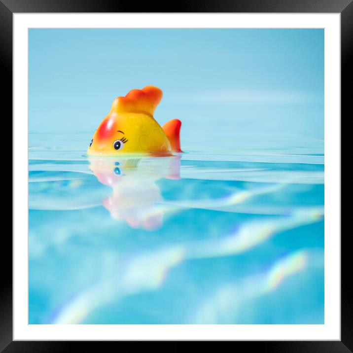 Toy fish in swimming pool Framed Mounted Print by Laurent Renault