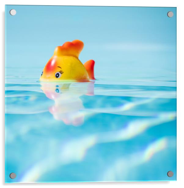 Toy fish in swimming pool Acrylic by Laurent Renault