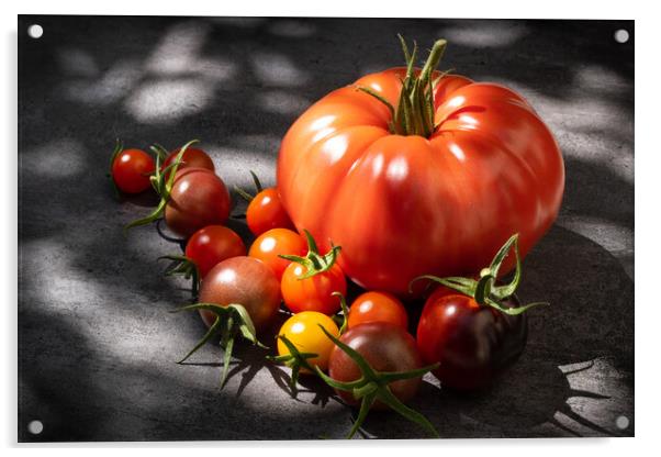Still life tomatoes over dark background Acrylic by Laurent Renault