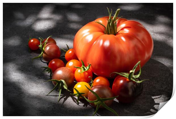 Still life tomatoes over dark background Print by Laurent Renault
