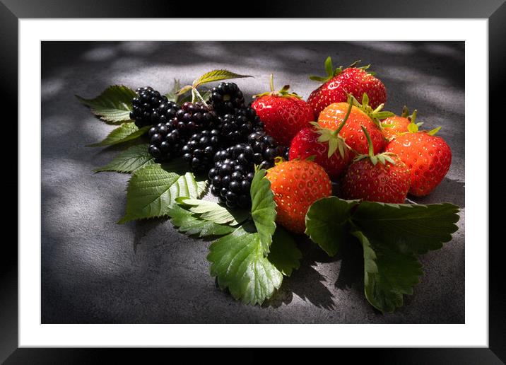 Still life strawberries and blackberries over dark background Framed Mounted Print by Laurent Renault