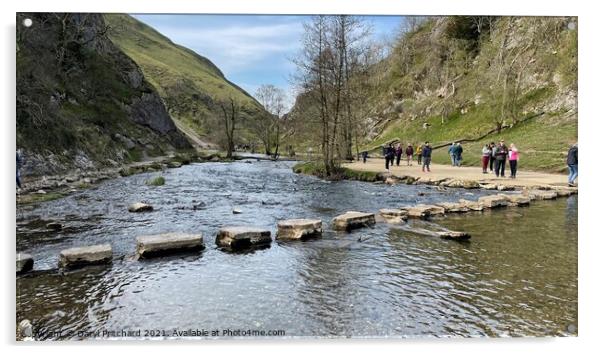 Dovedale Acrylic by Daryl Pritchard videos