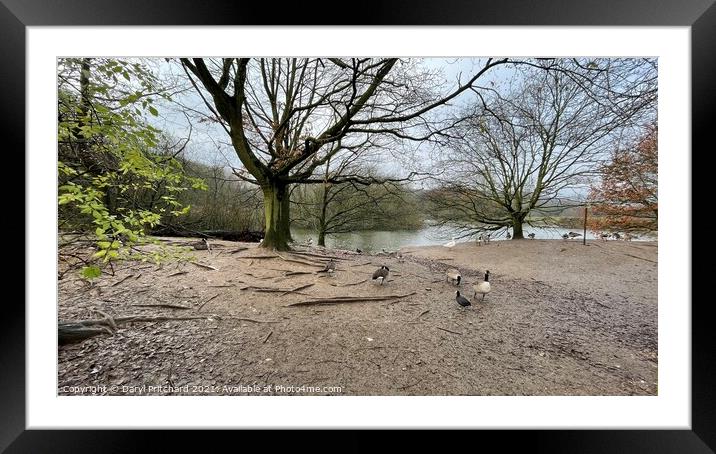 Westport lake  Framed Mounted Print by Daryl Pritchard videos