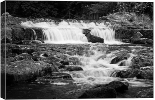 Close to the weir Canvas Print by David McCulloch