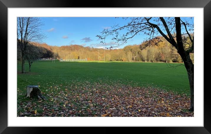 Kidsgrove and bathpool Framed Mounted Print by Daryl Pritchard videos
