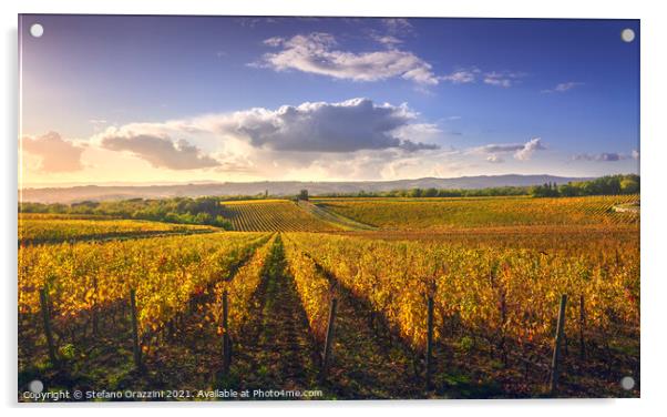 Chianti vineyards at sunset. Tuscany Acrylic by Stefano Orazzini