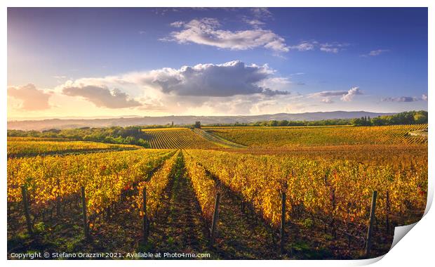 Chianti vineyards at sunset. Tuscany Print by Stefano Orazzini