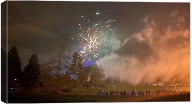 Clough hall park firework display  Canvas Print by Daryl Pritchard videos