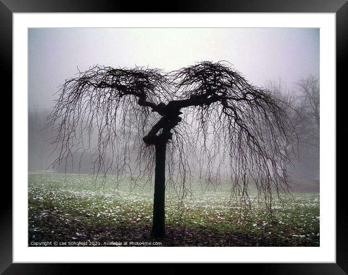 The Serene Majesty of the Winged Willow Framed Mounted Print by Les Schofield
