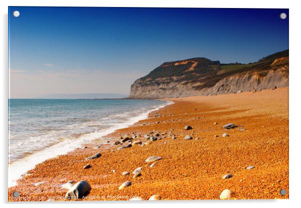 Seatown Dorset Beach  Acrylic by Les Schofield