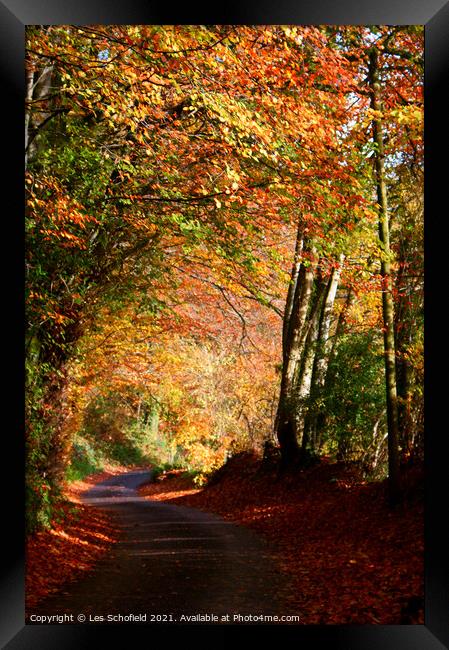 Autumn   Framed Print by Les Schofield