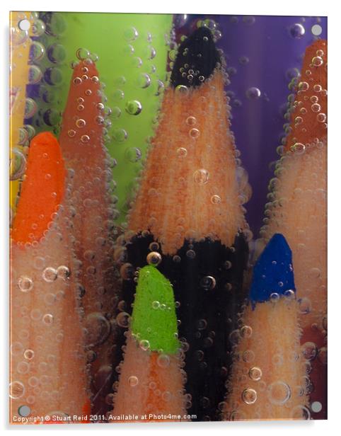 Fizzy Pencils Acrylic by Stuart Reid