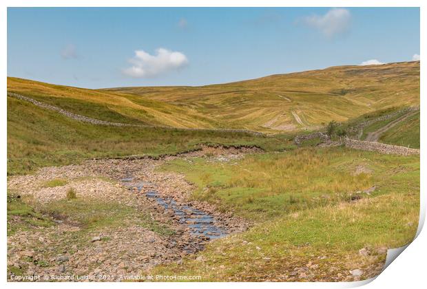 Spitley Tongue, Harwood, Upper Teesdale Print by Richard Laidler