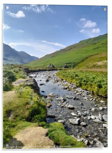 A calm Stream At Honnister Pass, Cumbria Acrylic by Natasha Fletcher