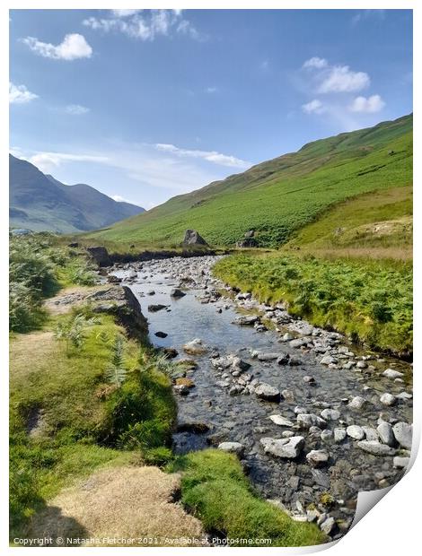 A calm Stream At Honnister Pass, Cumbria Print by Natasha Fletcher