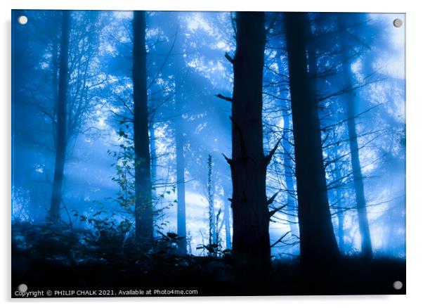 cold woodland sunrise 591 Acrylic by PHILIP CHALK
