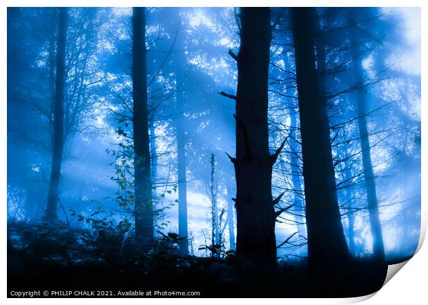 cold woodland sunrise 591 Print by PHILIP CHALK