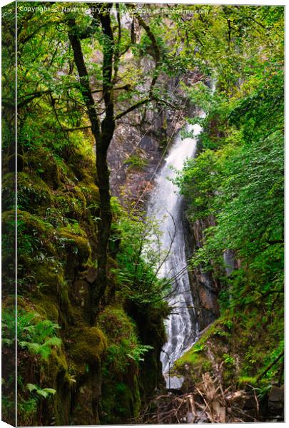 The Grey Mare's Tail Waterfall Kinlochleven Canvas Print by Navin Mistry