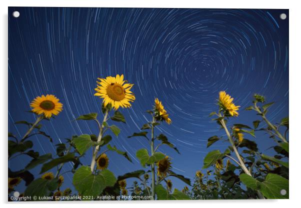Sunflowers lit by moonlight against startrail Acrylic by Łukasz Szczepański
