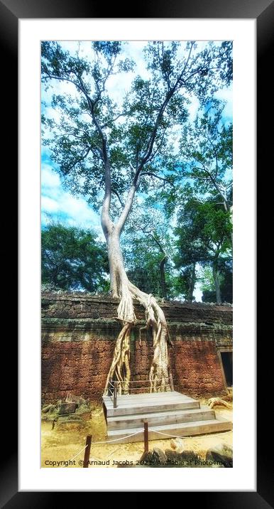 Ta Prohm Temple, Angkor Wat, Cambodia Framed Mounted Print by Arnaud Jacobs