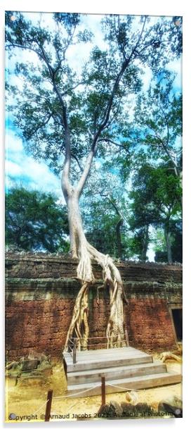 Ta Prohm Temple, Angkor Wat, Cambodia Acrylic by Arnaud Jacobs
