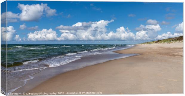The Curonian Spit Canvas Print by DiFigiano Photography