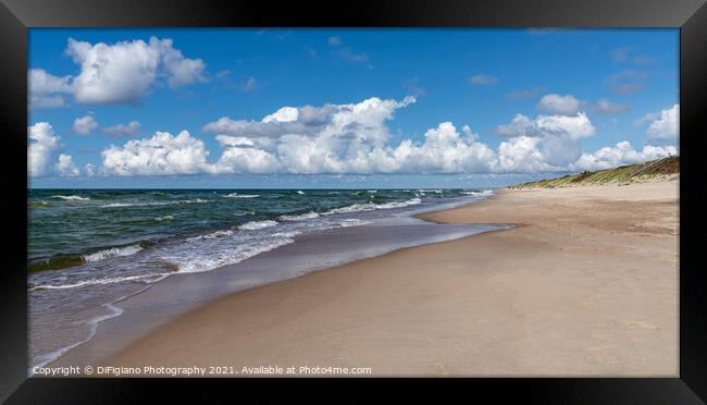 The Curonian Spit Framed Print by DiFigiano Photography