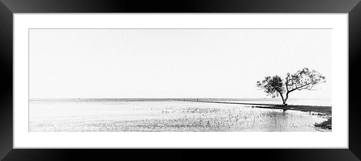 The Curonian Lagoon Framed Mounted Print by DiFigiano Photography