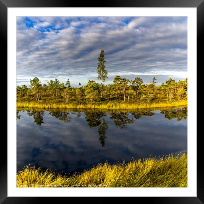 Kemeri National Park Framed Mounted Print by DiFigiano Photography